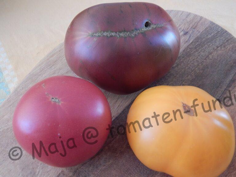 Die Sarah-Tomatenfamilie