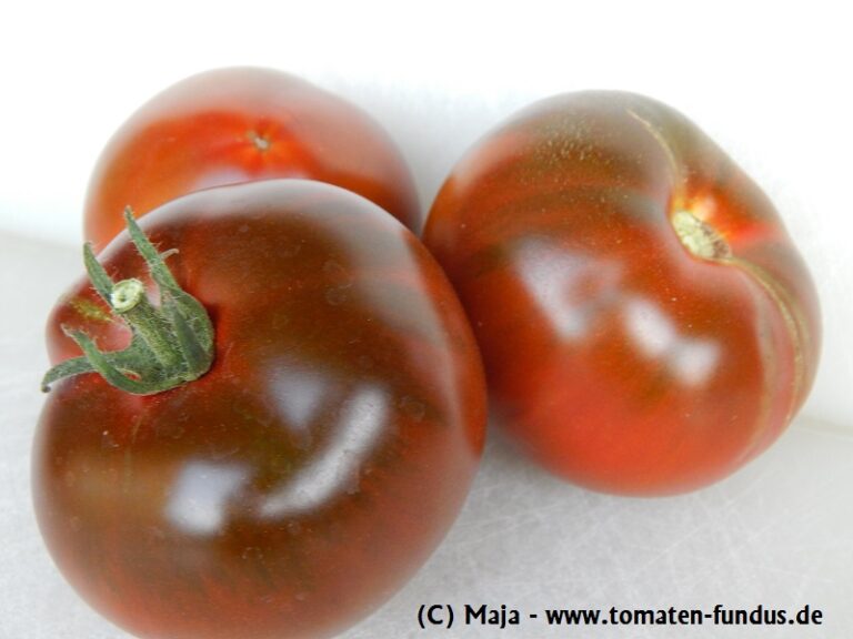 Große Salattomate Nyagous