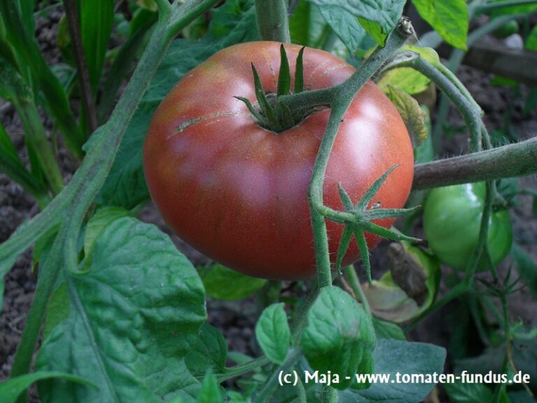 Crimson-Delight - reife Frucht