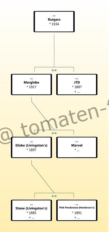 Tomate Rutgers Jubiläumssaatgut