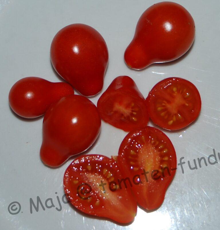 Sibirisches Birnchen 2017