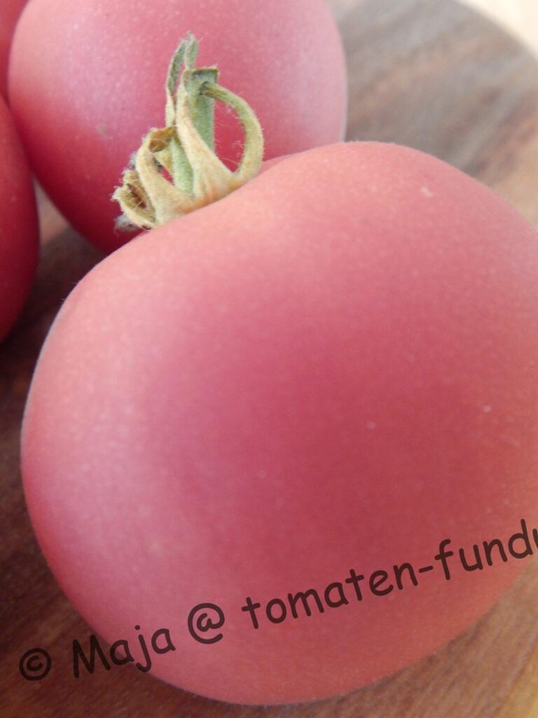 Peche (LYC 357) reife Frucht