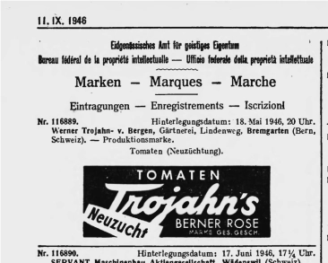 Trojahn's Berner Rose