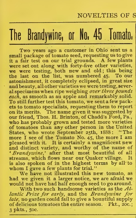 Auszug Katalog Johnson and Strokes 1889, Seite 15