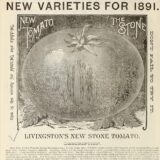 Saatgutkatalog Livingston 1891, Seite 2