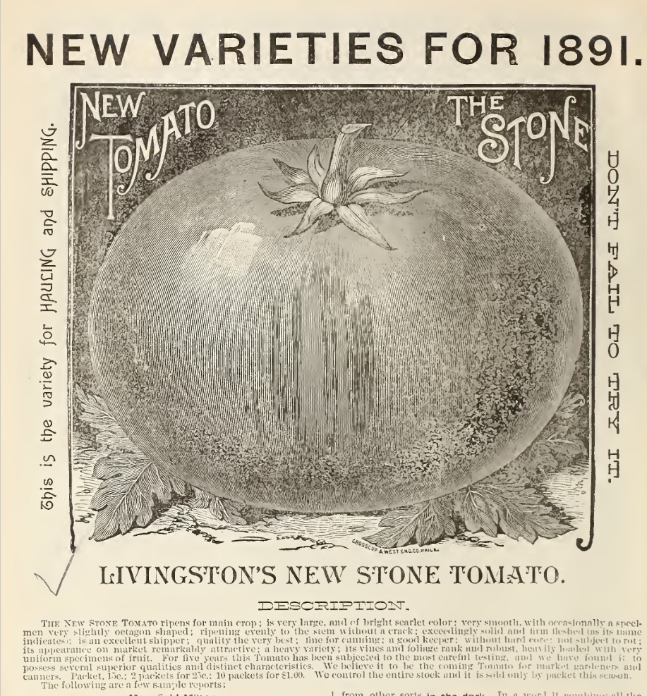 Saatgutkatalog Livingston 1891, Seite 2